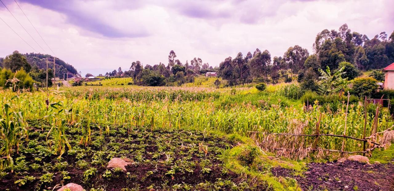 Ntebeko Homestay Kisoro Exterior photo